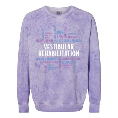 Vestibular Rehabilitation Audiologist Pt Ot Therapy Colorblast Crewneck Sweatshirt