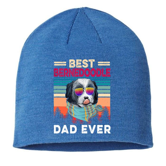 Vintage Retro Best Bernedoodle Dad Ever Cool Dog Father Day Cute Gift Sustainable Beanie