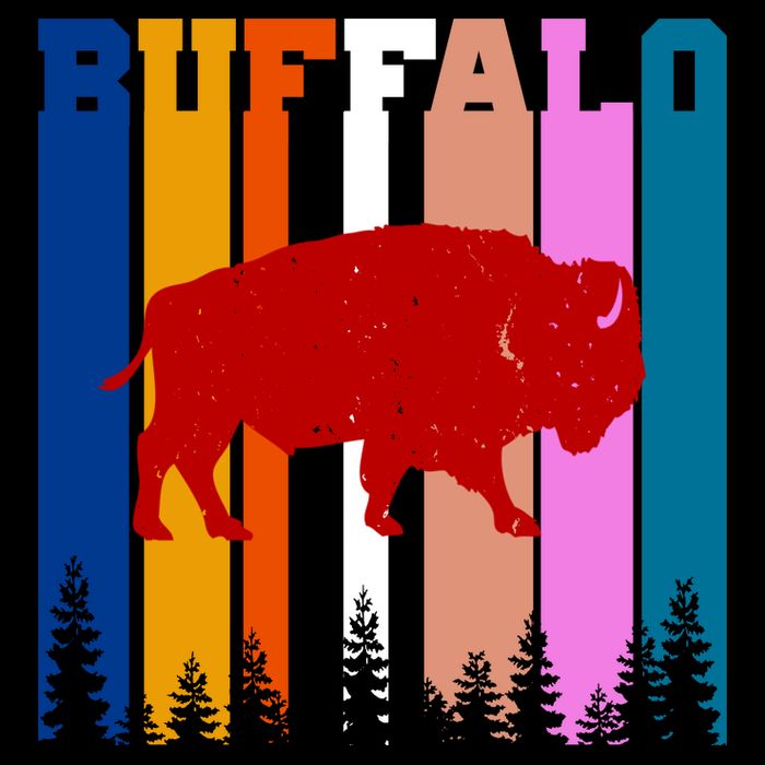 Vintage Retro Buffalo T-Shirt