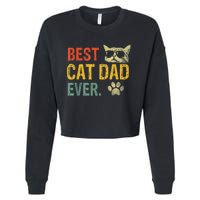 Vintage Retro Best Cat Dad Ever Cat Daddy Gift Cropped Pullover Crew