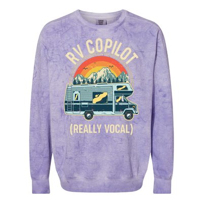 Vintage RV Copilot Really Vocal Colorblast Crewneck Sweatshirt