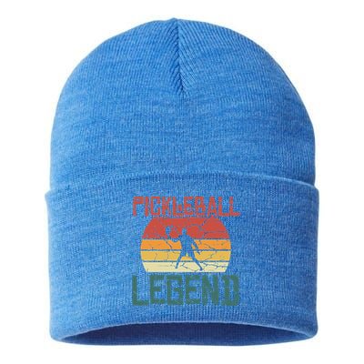 Vintage Retro Distressed Pickleball Legend Gift Sustainable Knit Beanie