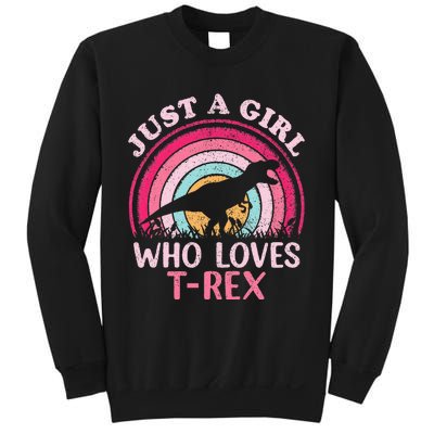 Vintage Retro Dinosaur Just A Girl Who Loves Sweatshirt