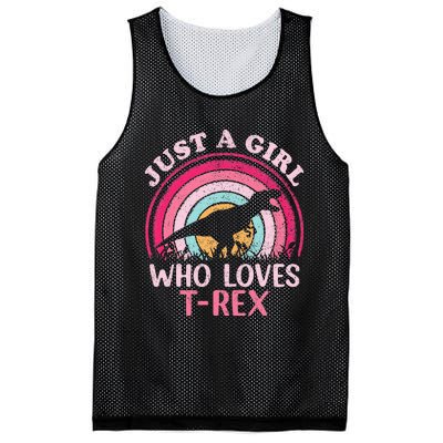 Vintage Retro Dinosaur Just A Girl Who Loves Mesh Reversible Basketball Jersey Tank