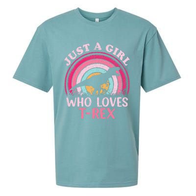 Vintage Retro Dinosaur Just A Girl Who Loves Sueded Cloud Jersey T-Shirt