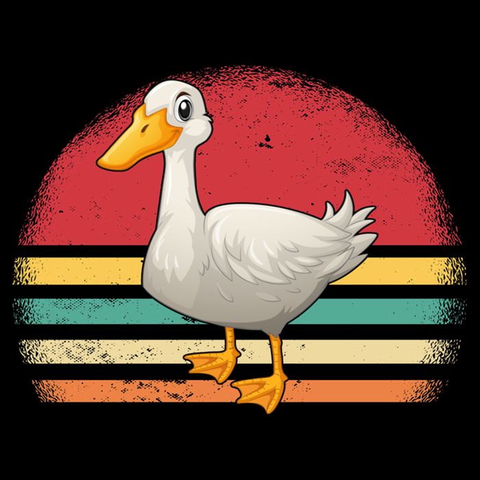 Vintage Retro Duck Gift Mug
