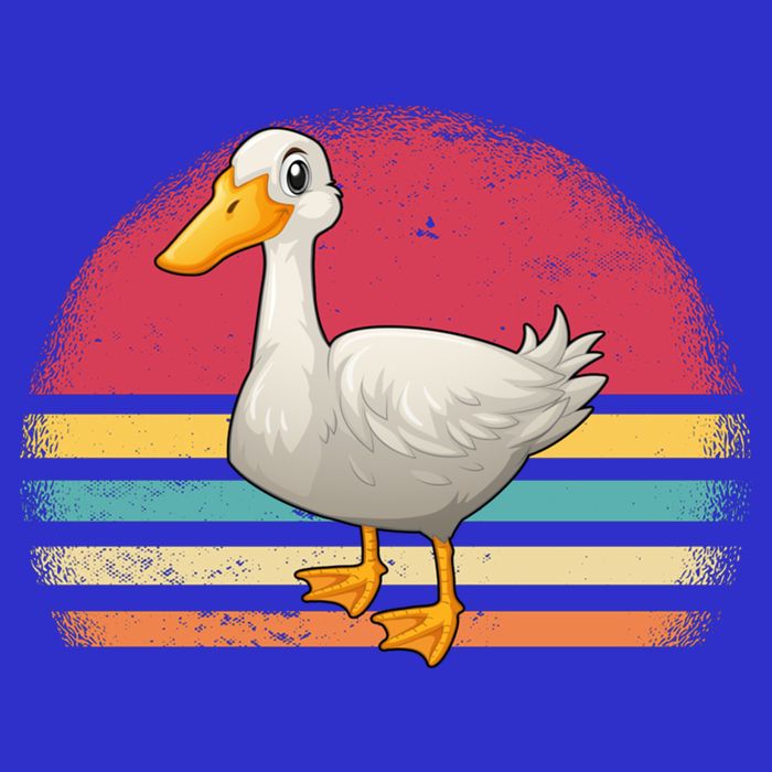 Vintage Retro Duck Gift Kids T-Shirt
