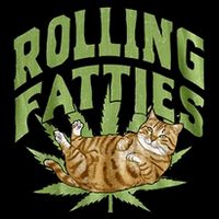 Vintage Rolling Fatties Cat Retro Kitty Kitten Apron