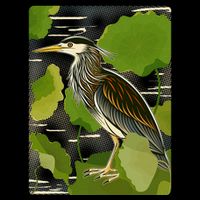 Vintage Retro Green Heron Bird Baby Bodysuit