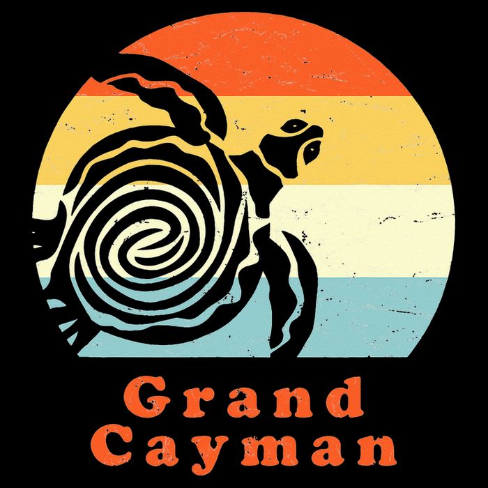 Vintage Retro Grand Cayman Tribal Turtle Sun Vacation Gift Toddler Hoodie