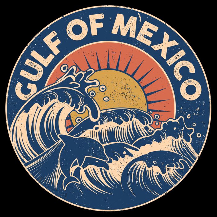 Vintage Retro Gulf of Mexico Emblem Kids T-Shirt