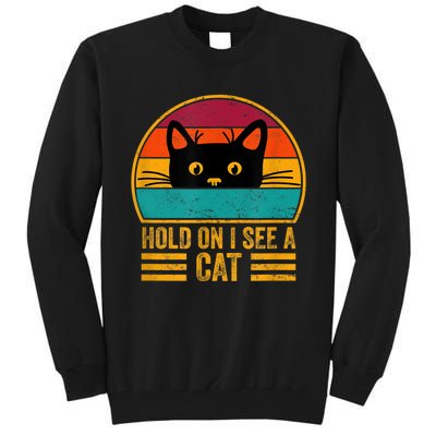 Vintage Retro Hold On I See A Cat Funny Cat Lovers Sayings Tall Sweatshirt