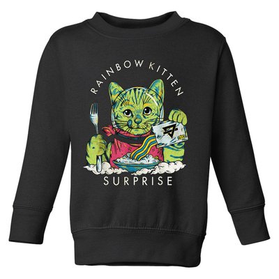 Vintage Rainbow Kitten Surprise Funny Cat Lover Toddler Sweatshirt