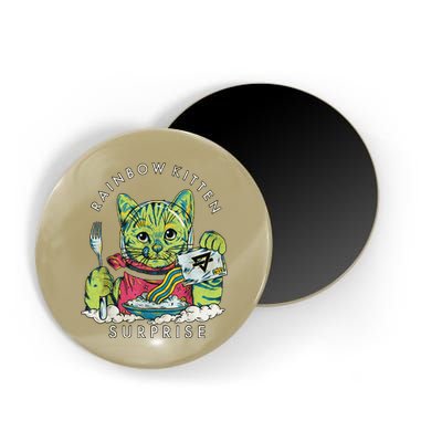 Vintage Rainbow Kitten Surprise Funny Cat Lover Magnet