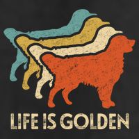 Vintage Retro Life Is Golden Retriever Dog Distressed Funny Meaningful Gift Beanie