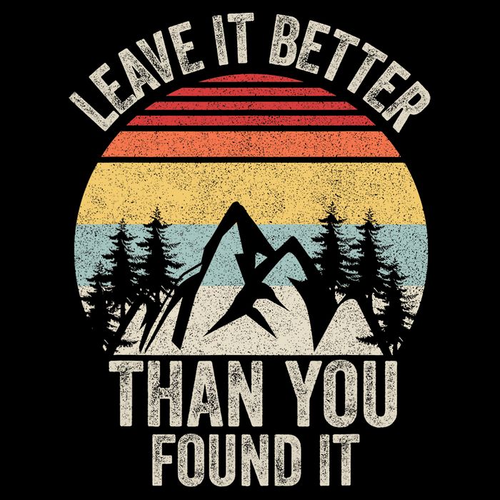 Vintage Retro Leave It Better Than You Found It Gift Camping Womens Tank Top
