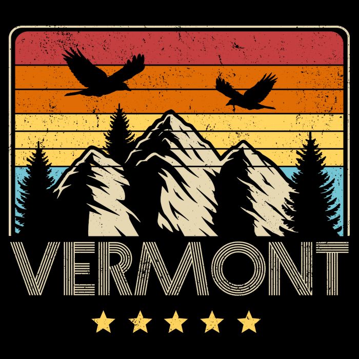 Vermont Retro Mountain Eagle Tie-Dye T-Shirt