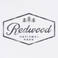 Vintage Redwood National Park California Souvenir Retro Womens T-Shirt