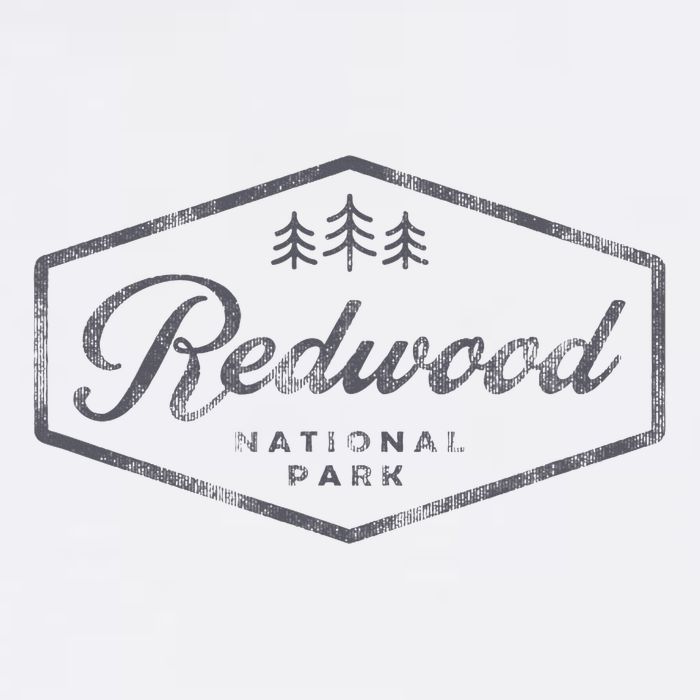 Vintage Redwood National Park California Souvenir Retro Womens T-Shirt
