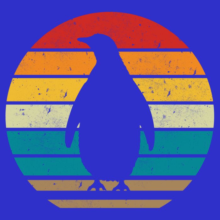 Vintage Retro Penguins Sunset 70s 80s 90s Penguins Party Gif Gift Womens Tank Top