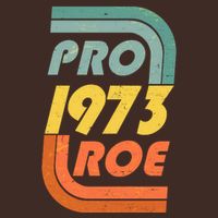 Vintage Retro Pro Roe 1973 T-Shirt