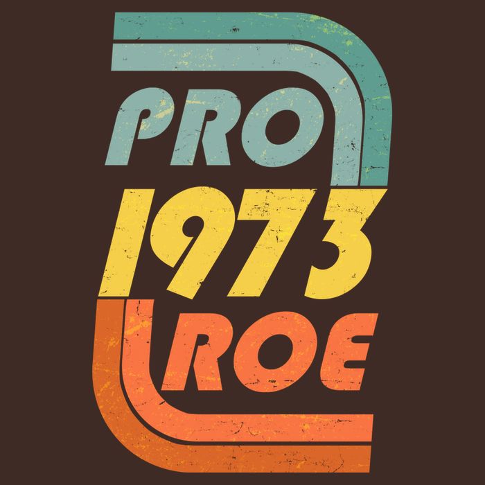 Vintage Retro Pro Roe 1973 T-Shirt