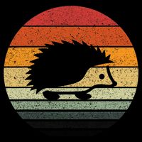 Vintage Retro Sunset Hedgehog Button