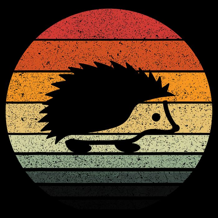 Vintage Retro Sunset Hedgehog Button