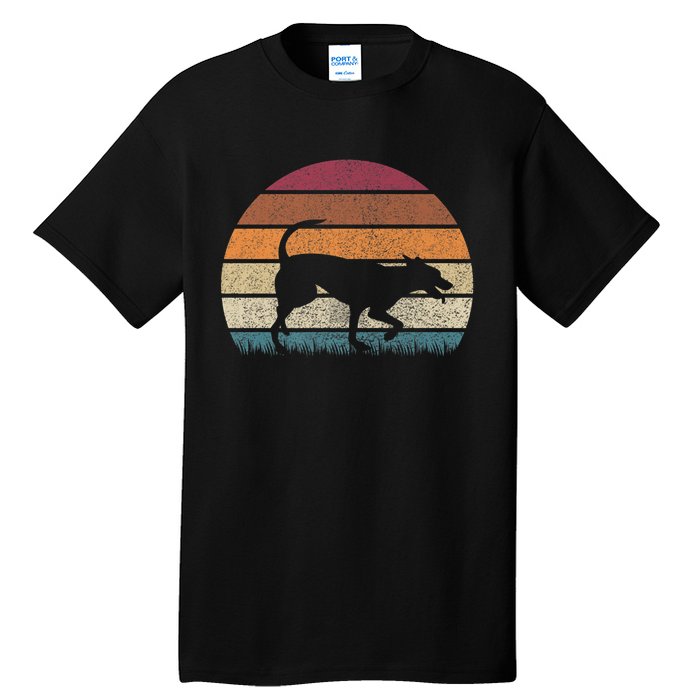 Vintage Retro Sunset Formosan Mountain Dog Lover Distressed Premium Tall T-Shirt