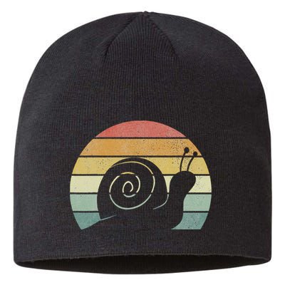 Vintage Retro Sunset Snail Design Cute Sluggish Funny Snail  Sustainable Beanie