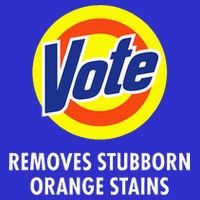 Vote Removes Stubborn Orange Stains Antitrump Toddler T-Shirt