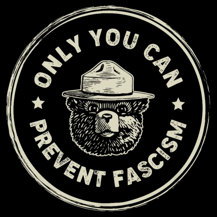 Vintage Resist Only You Can Prevent Fascism Crop Top