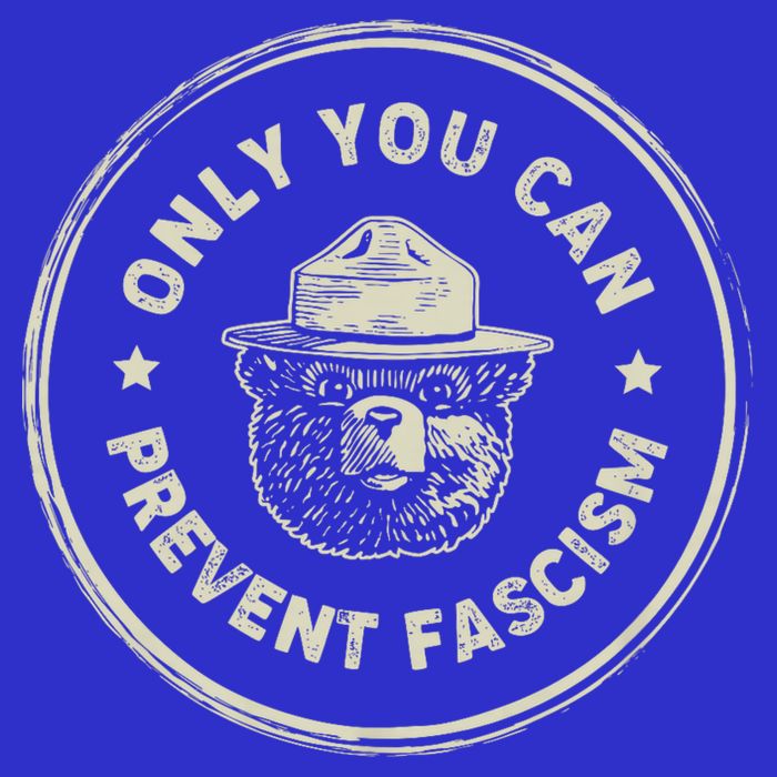 Vintage Resist Only You Can Prevent Fascism Poster