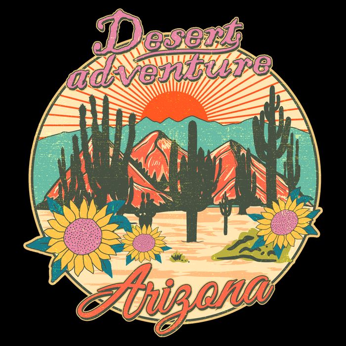Vintage Retro Travel Arizona Desert Adventure Emblem Womens T-Shirt