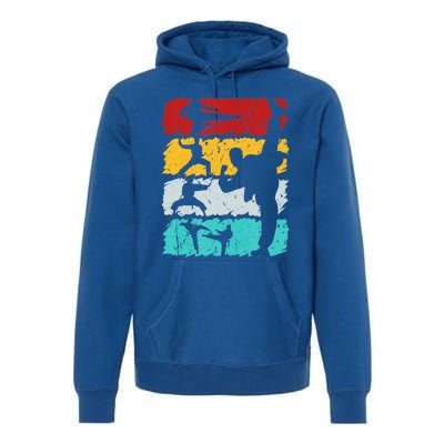 Vintage Retro Taekwondo Karate Gift Premium Hoodie