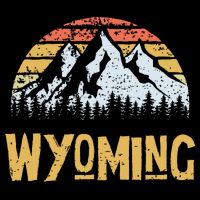 Vintage Retro Wy Wyoming Us Mountain State Womens T-Shirt