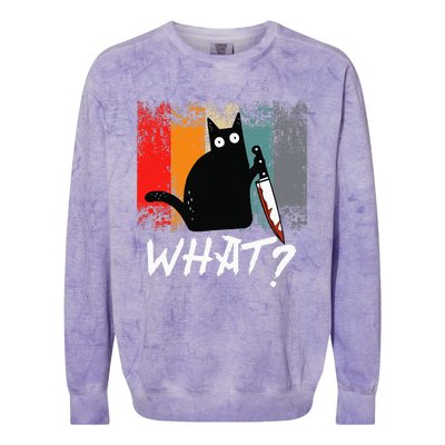 Vintage Retro What Ca For Women Men Funny Cat Lover Colorblast Crewneck Sweatshirt