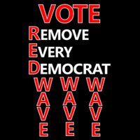 Vote Red Wave Remove Every Democrat Wool Snapback Cap