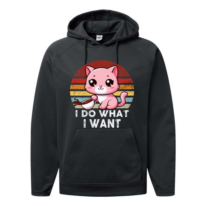 Vintage Sunset Cat I Do What I Want Boy Girl Performance Fleece Hoodie