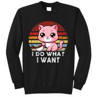 Vintage Sunset Cat I Do What I Want Boy Girl Sweatshirt