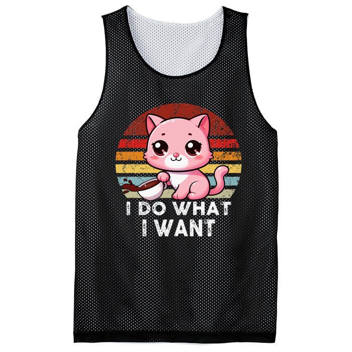 Vintage Sunset Cat I Do What I Want Boy Girl Mesh Reversible Basketball Jersey Tank