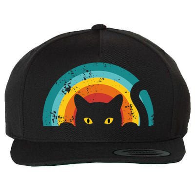 Vintage Style Cat Retro Distressed Cat Wool Snapback Cap