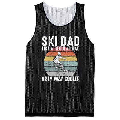 Vintage Ski Dad Like A Regular Dad Only Way Cooler Skiing Gift For Skier Mesh Reversible Basketball Jersey Tank