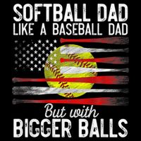 Vintage Softball Dad Like A Baseball Dad US Flag Fathers Day T-Shirt