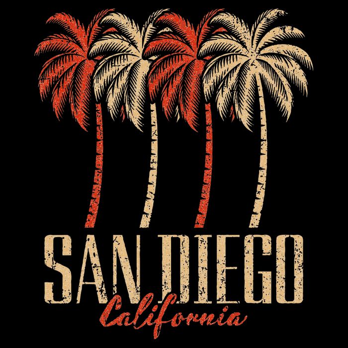 Vintage San Diego Retro Palm Trees Graphic Kids T-Shirt