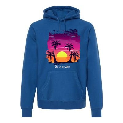 Vintage Sunset Fun In The Sun Summer Beach Funny Gift Premium Hoodie