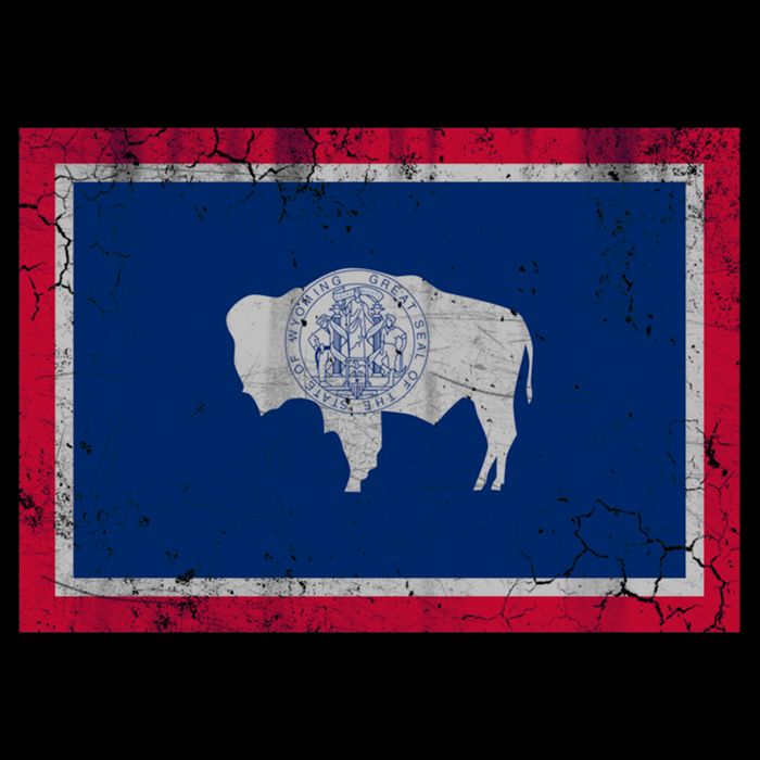 Vintage State Flag Of Wyoming Backpack