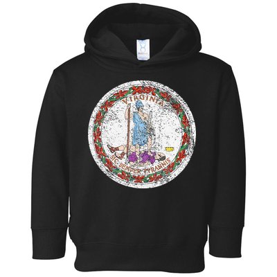 VIRGINIA STATE FLAG SEAL RICHMOND NORFOLK Toddler Hoodie