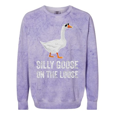 vintage Silly Goose On The Loose Funny Saying Colorblast Crewneck Sweatshirt