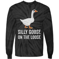 vintage Silly Goose On The Loose Funny Saying Tie-Dye Long Sleeve Shirt